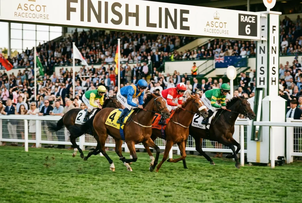 Aposta each way em cavalos com exemplo de corrida e posições